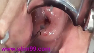 483 bizarre porn videos